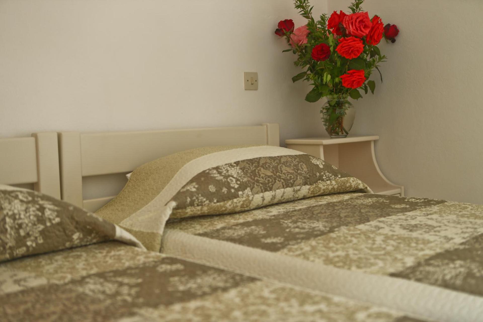 Dendrolivano - Photo 33