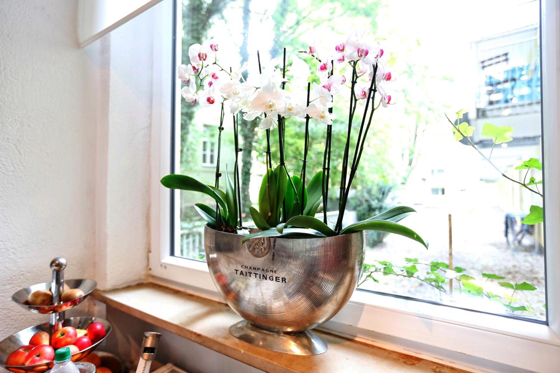 Hotel Nymphenburg City - München - Photo 106