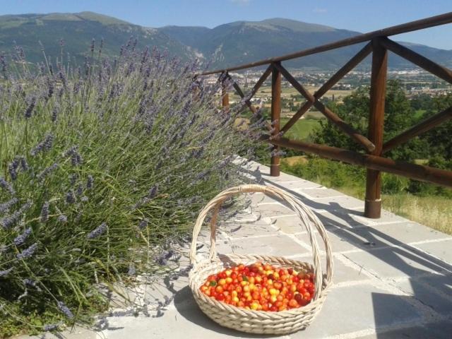 B&B Fonte Cugno - Photo 67
