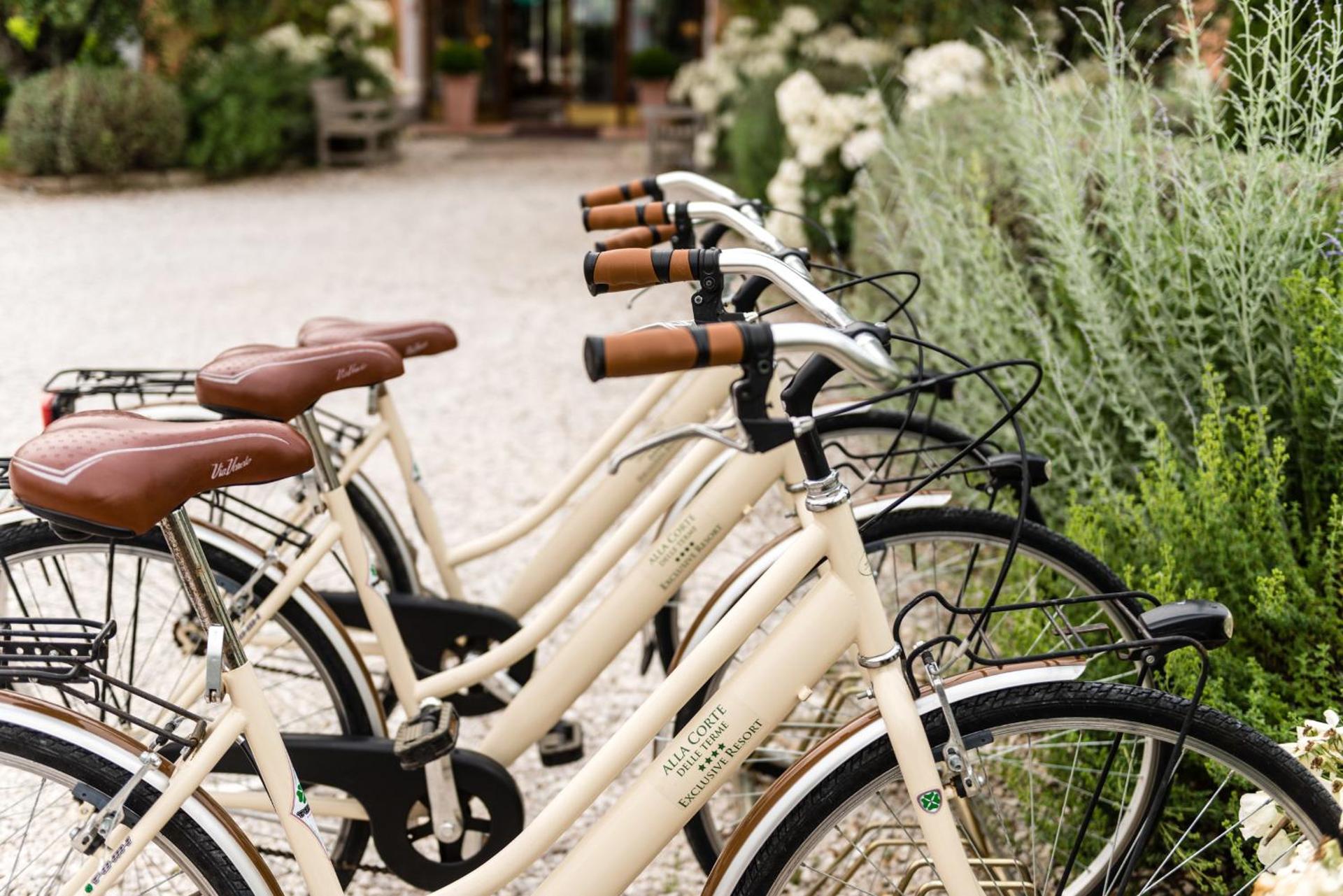 Alla Corte Delle Terme Resort - Photo 88