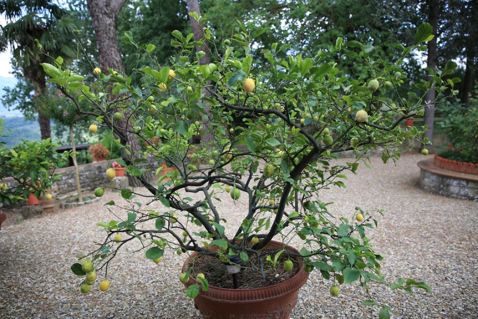 Villa Francesca - Photo 25