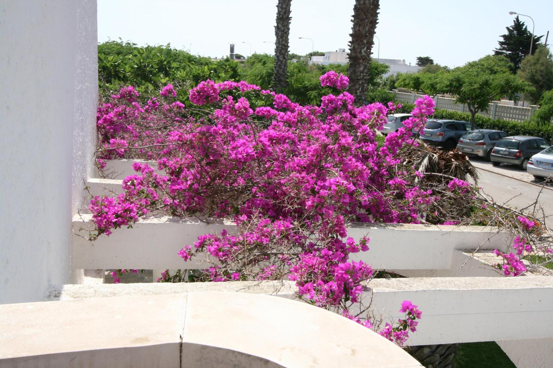 Residence Club Barbara - Photo 67