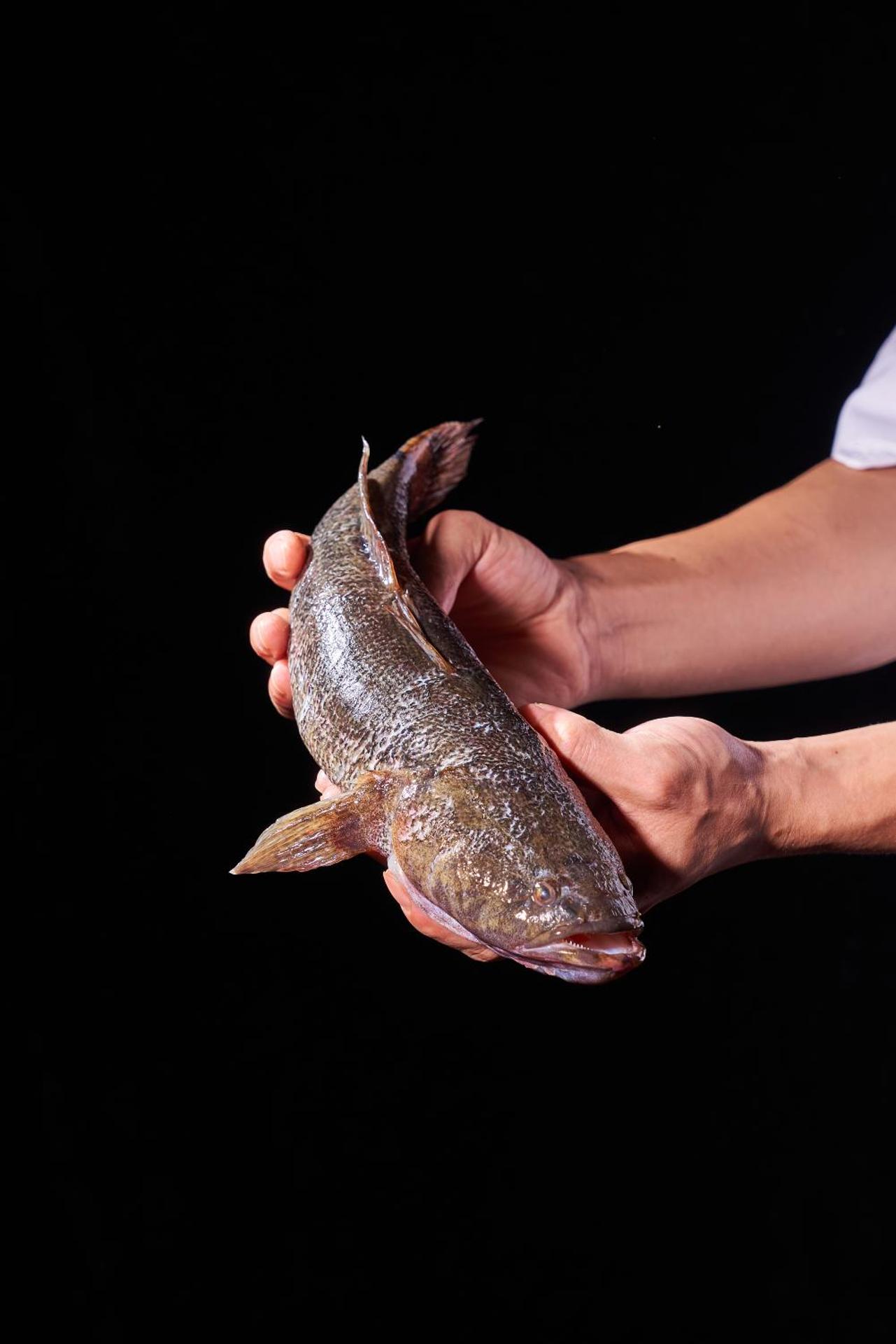 Hilton Guangzhou Science City - Photo 54