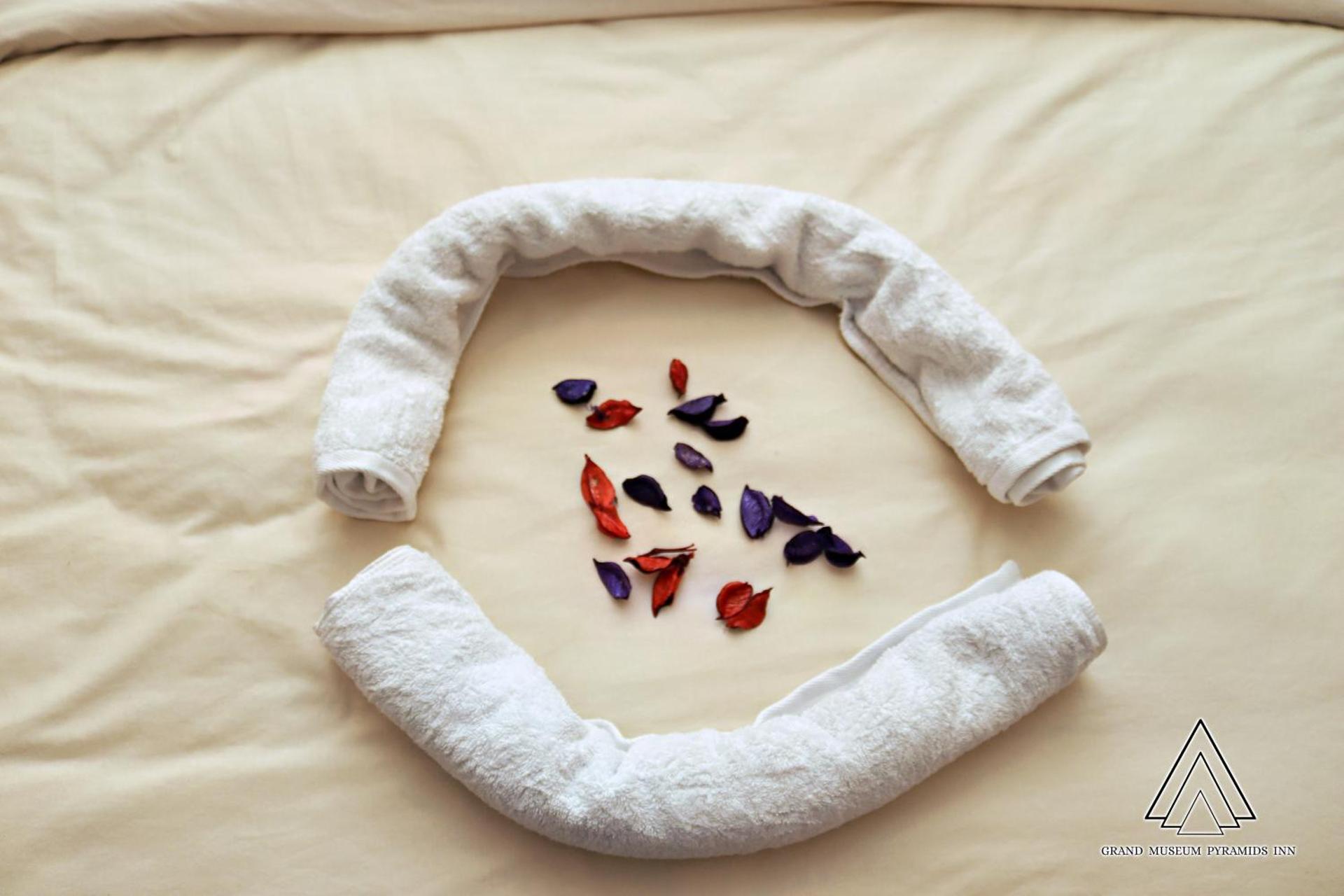 Grand Museum Pyramids Inn - Photo 4