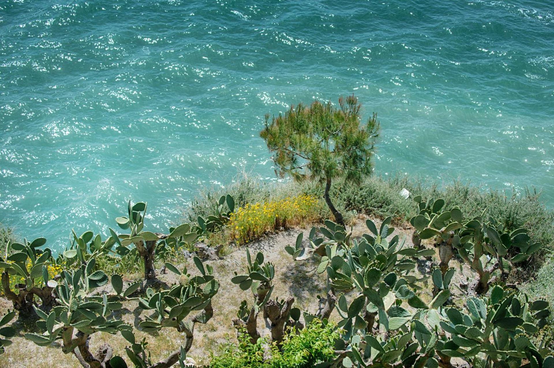 Hotel Palme Gemelle - Photo 71