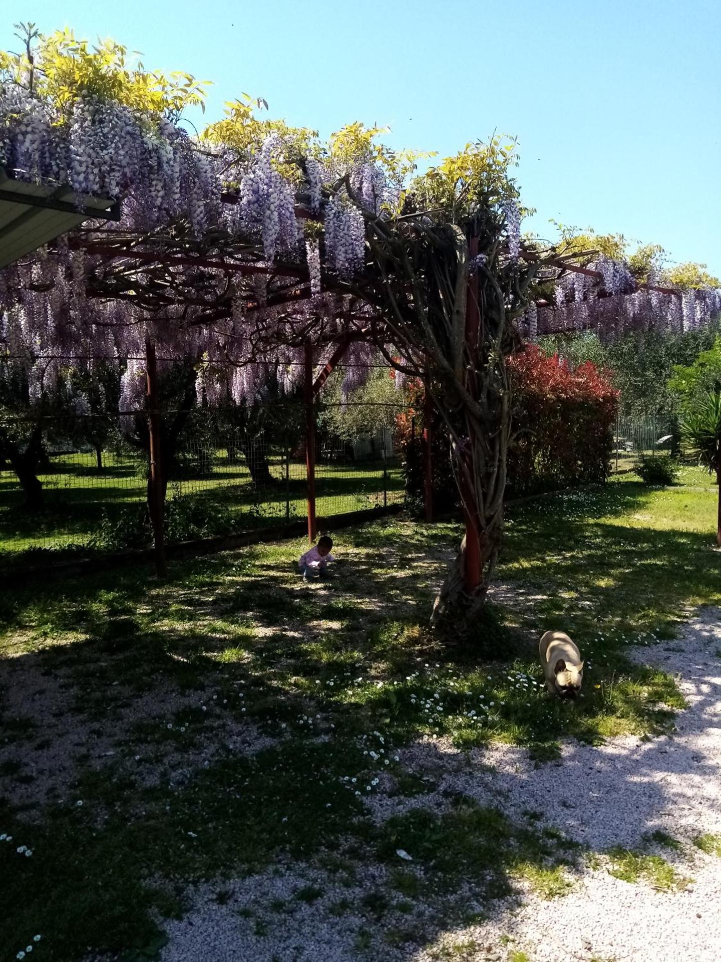 La Casa Gialla A MONTIGNOSO - Photo 23