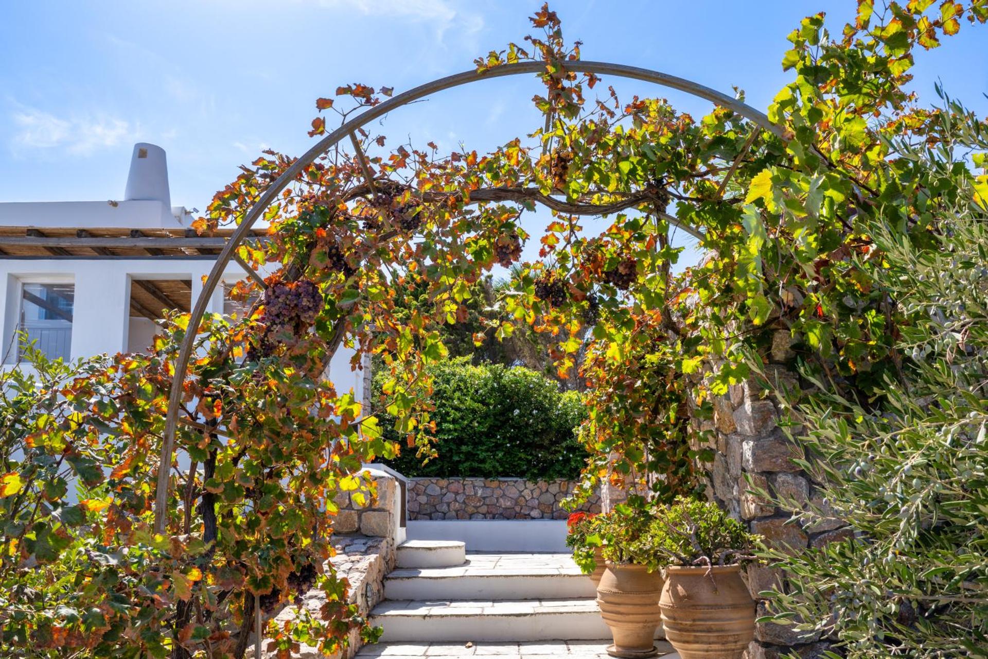 Anema Boutique Hotel & Villas Santorini - Photo 13