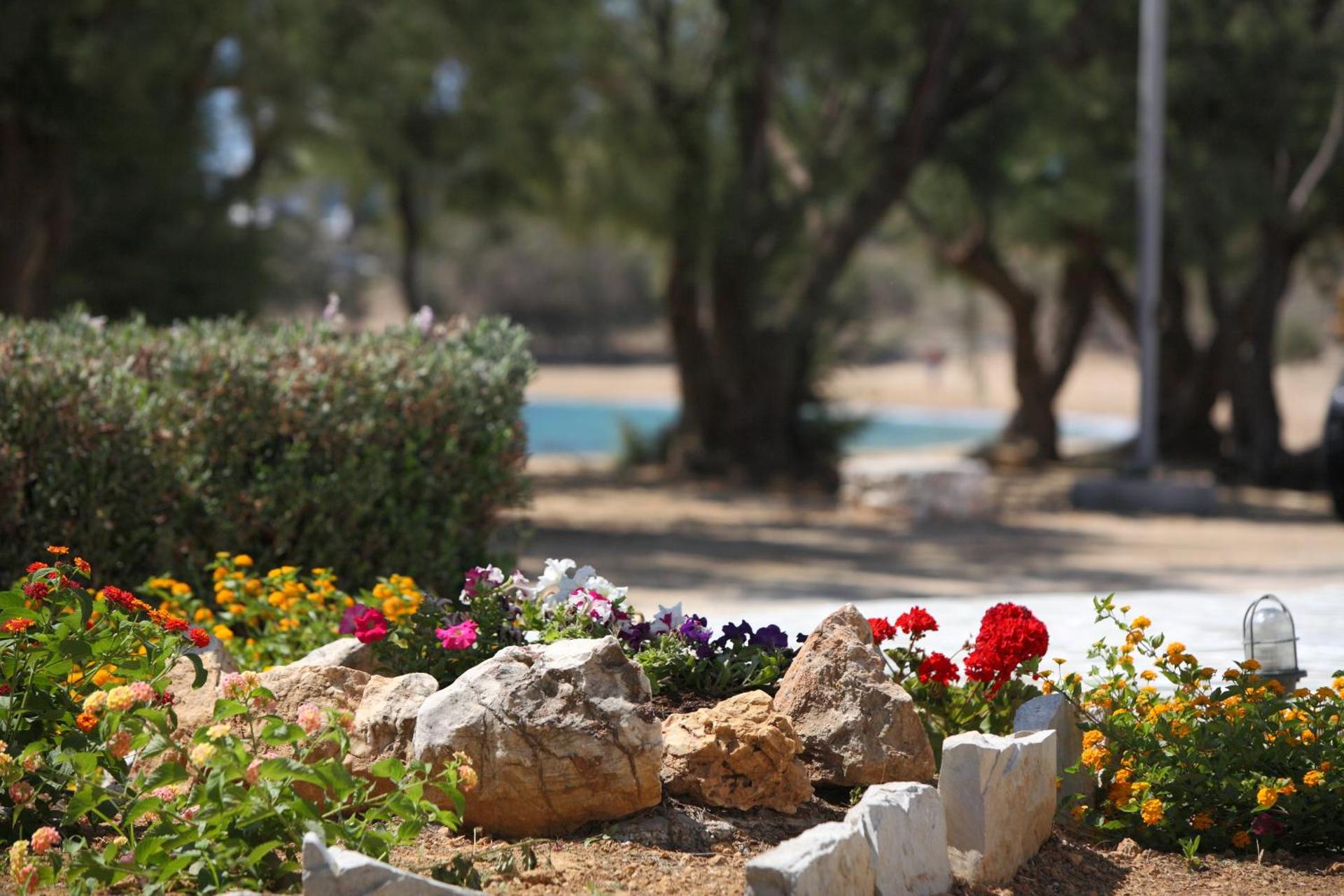 Paros Inn Seafront - Photo 25