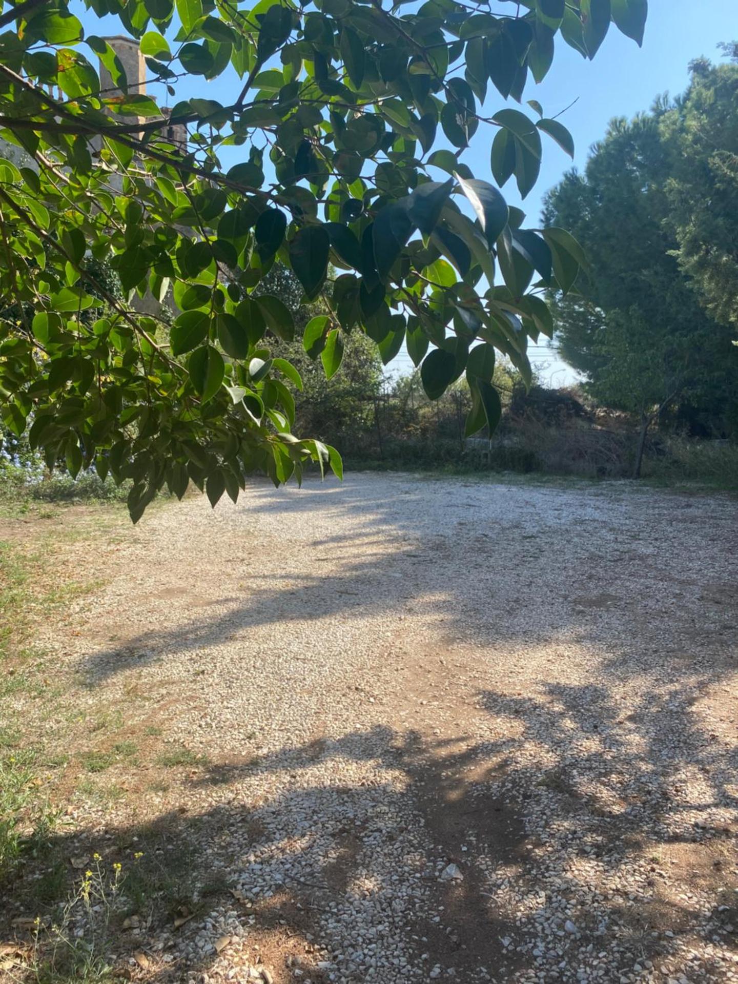 Albarosa - Photo 47