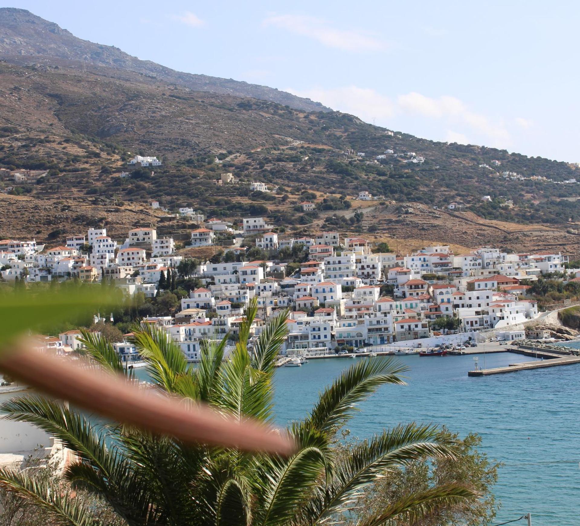 Blue Dolphin - Photo 276