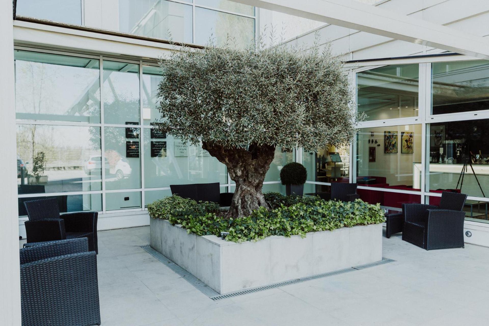 Hotel Carpi - Photo 45