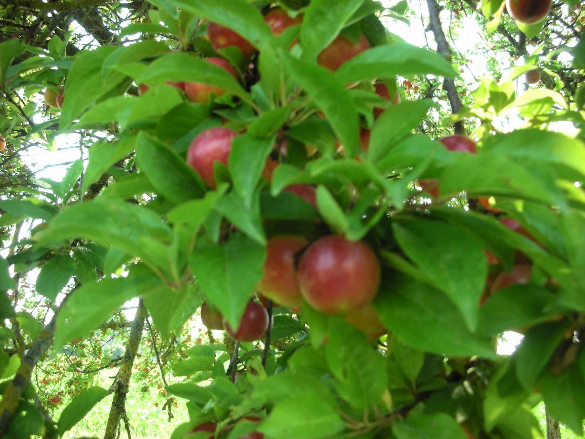 B&B Da Pio - Photo 86