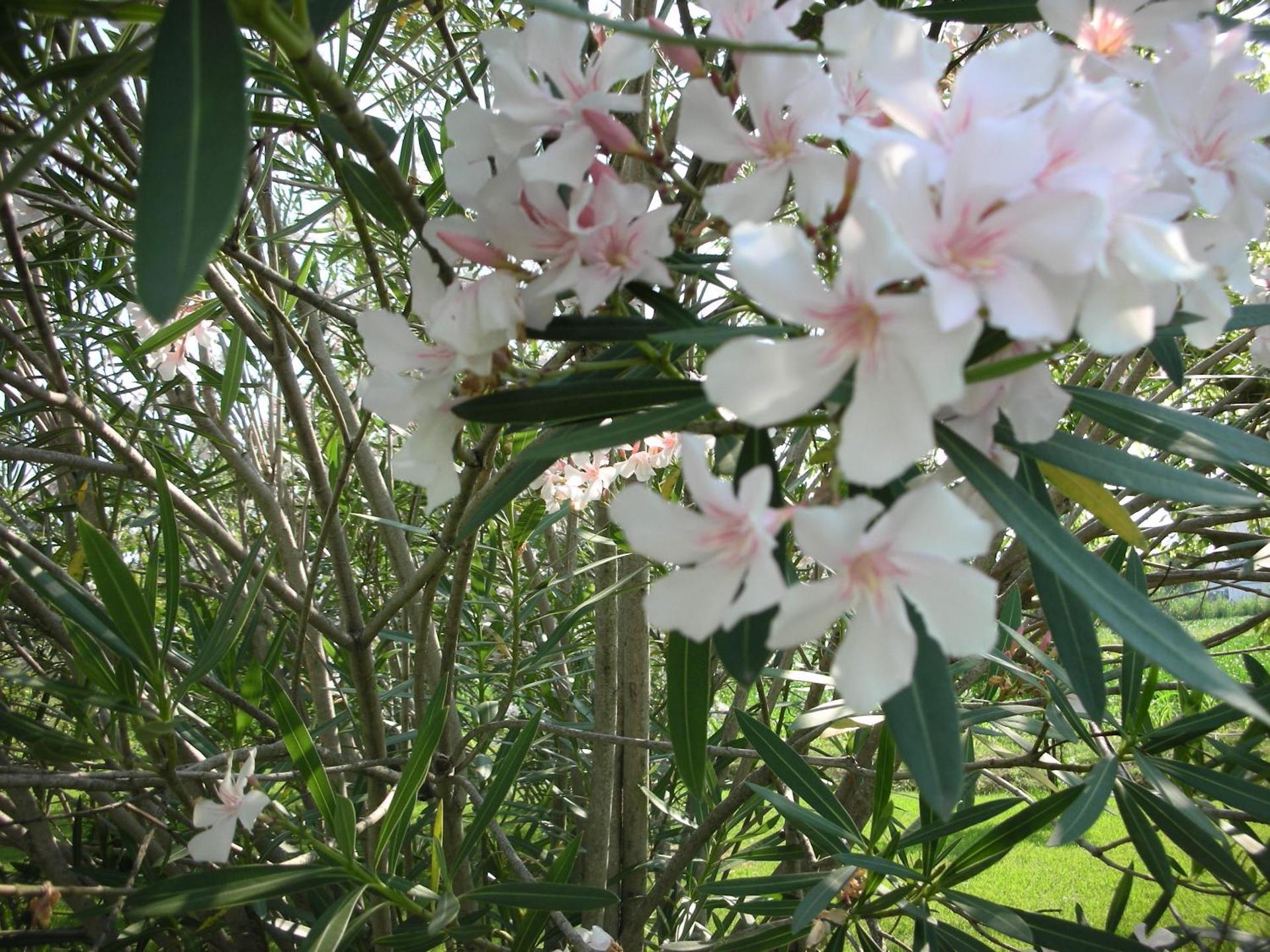 B&B Da Pio - Photo 88