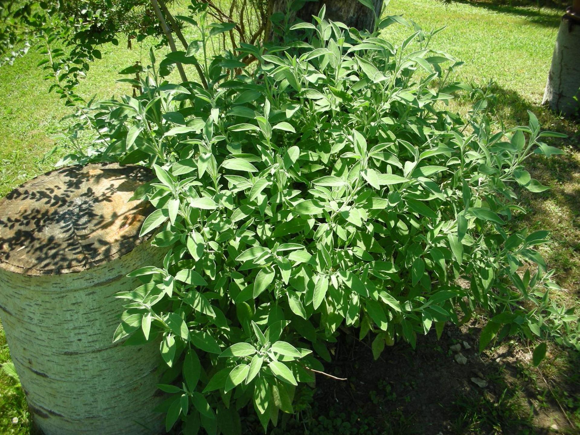 B&B Da Pio - Photo 89