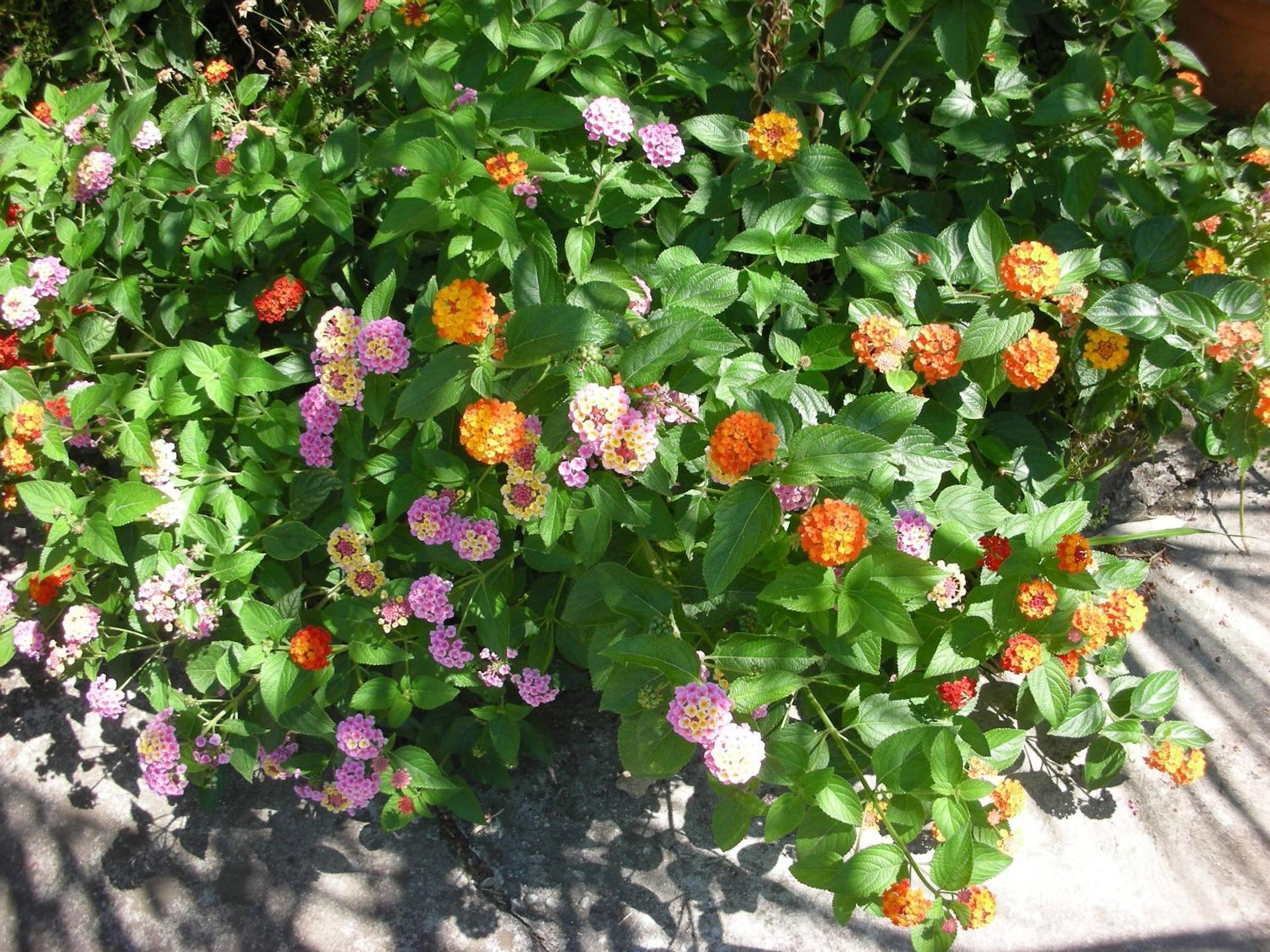 B&B Da Pio - Photo 93