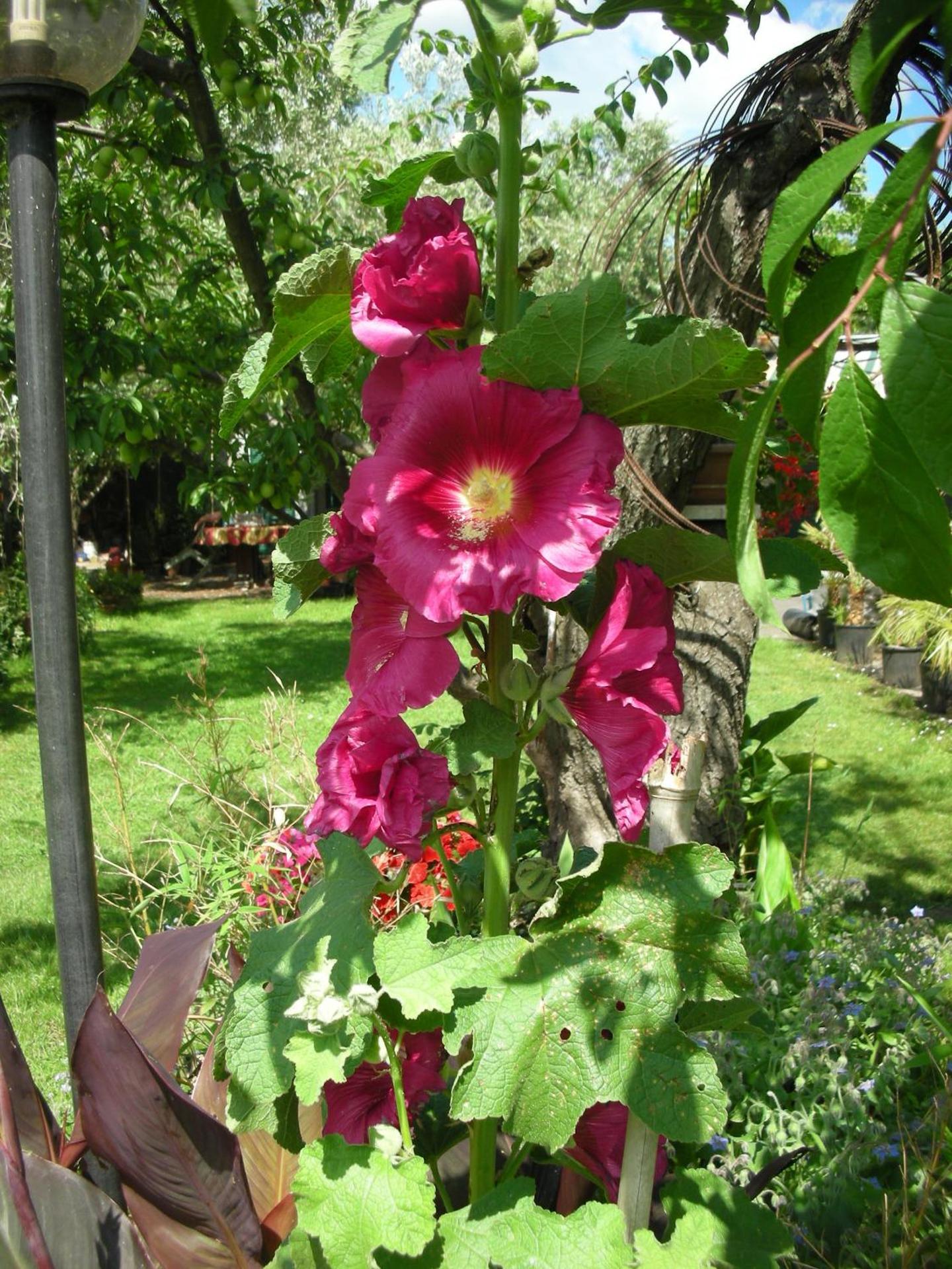 B&B Da Pio - Photo 96