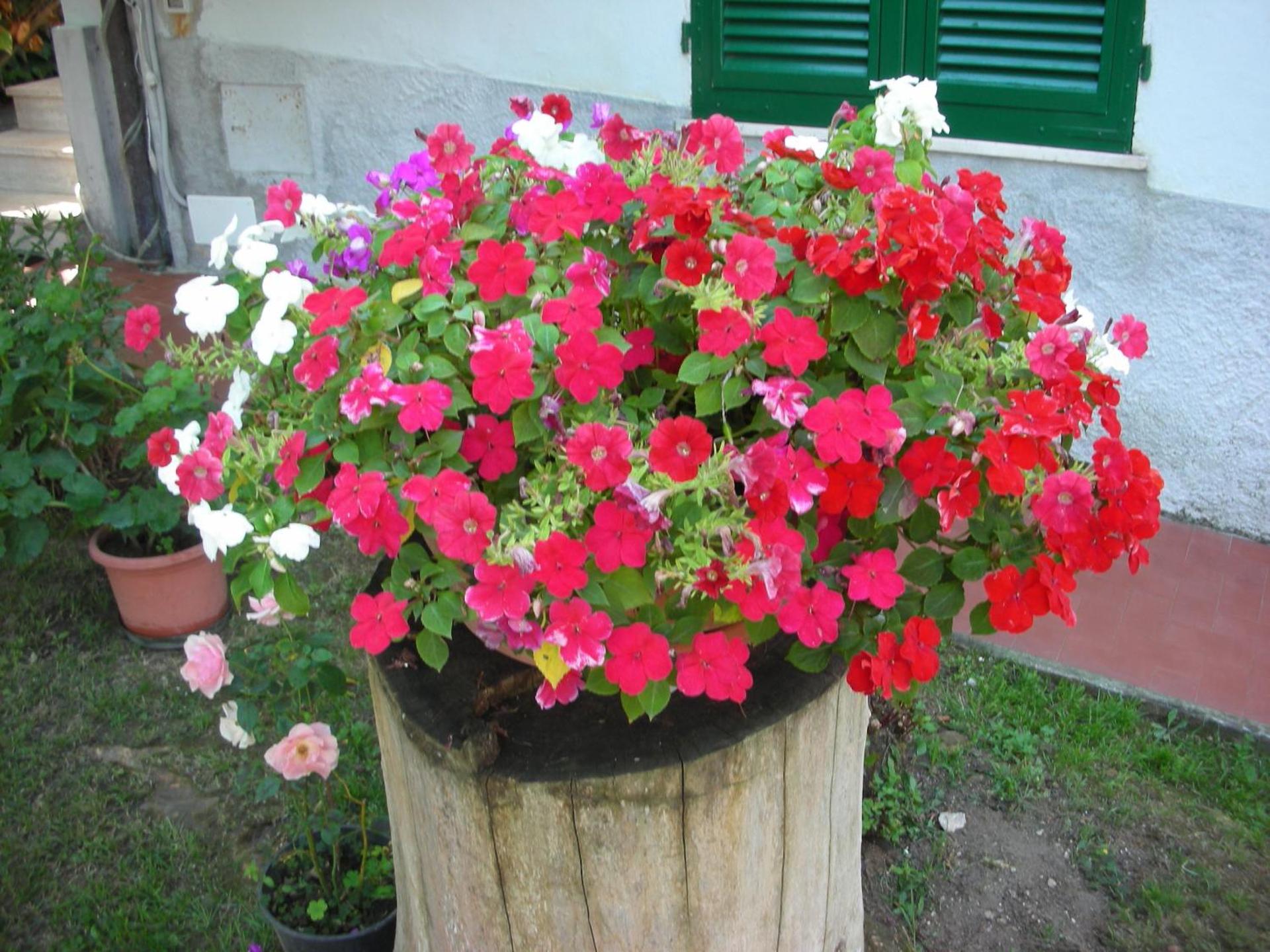 B&B Da Pio - Photo 97