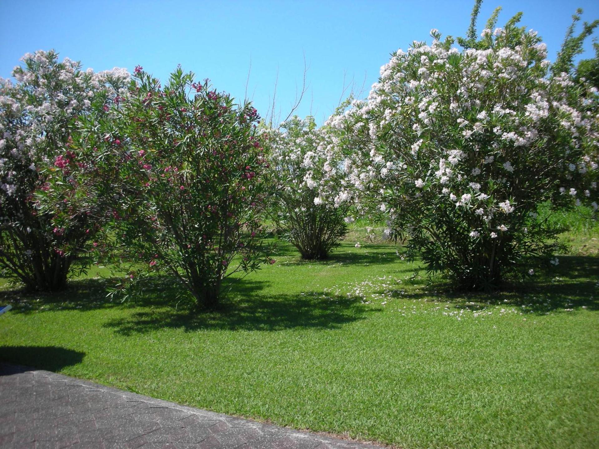 B&B Da Pio - Photo 103