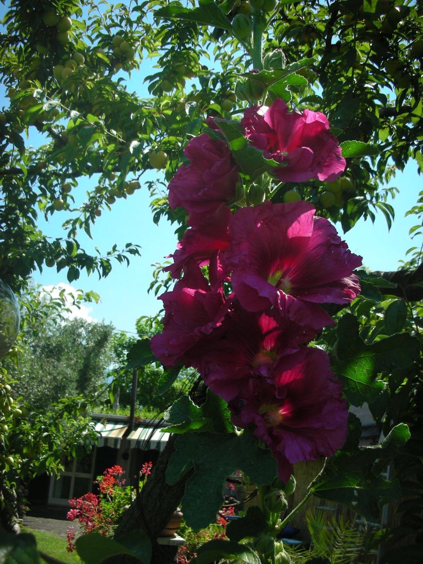 B&B Da Pio - Photo 105