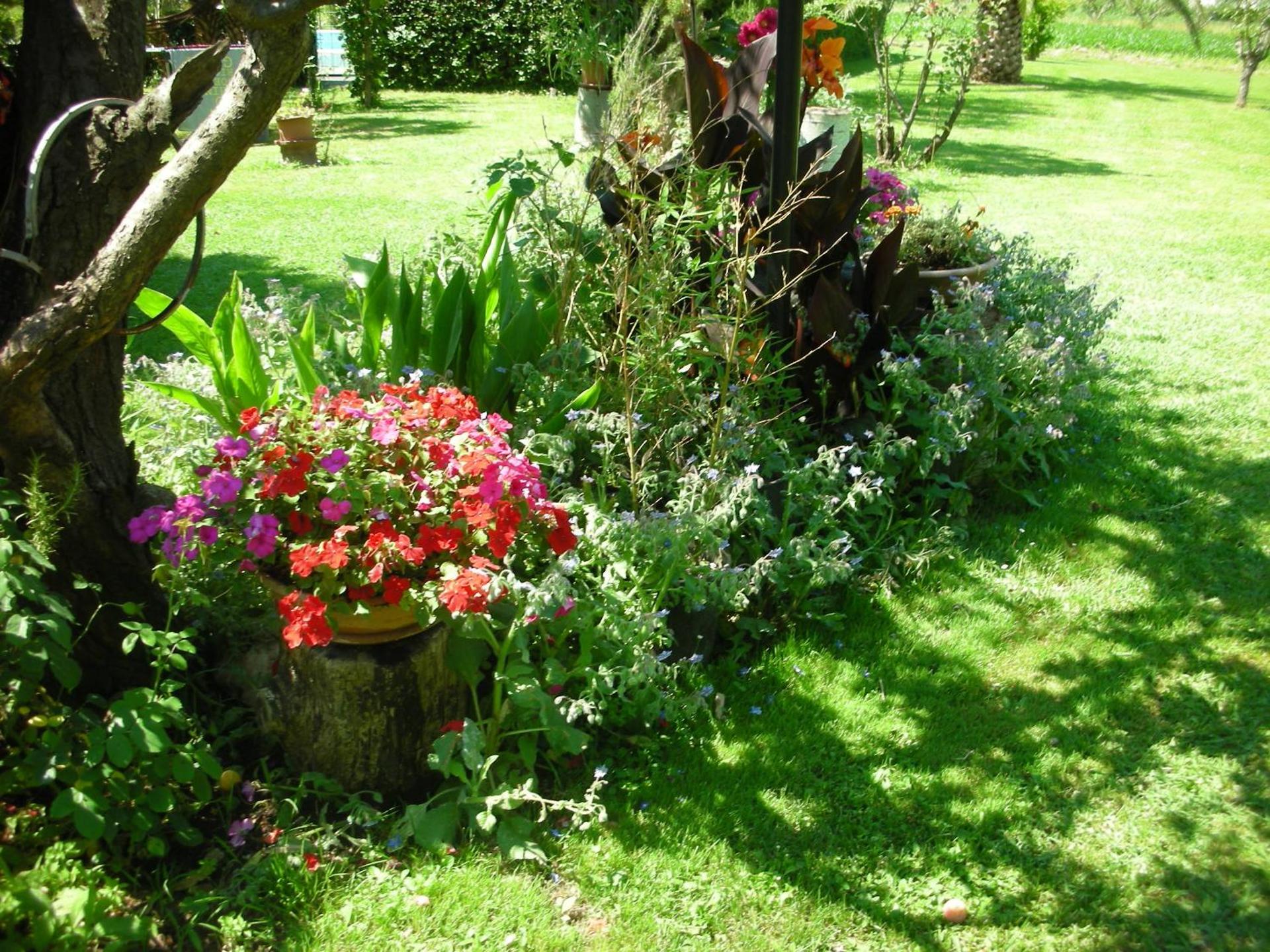 B&B Da Pio - Photo 70