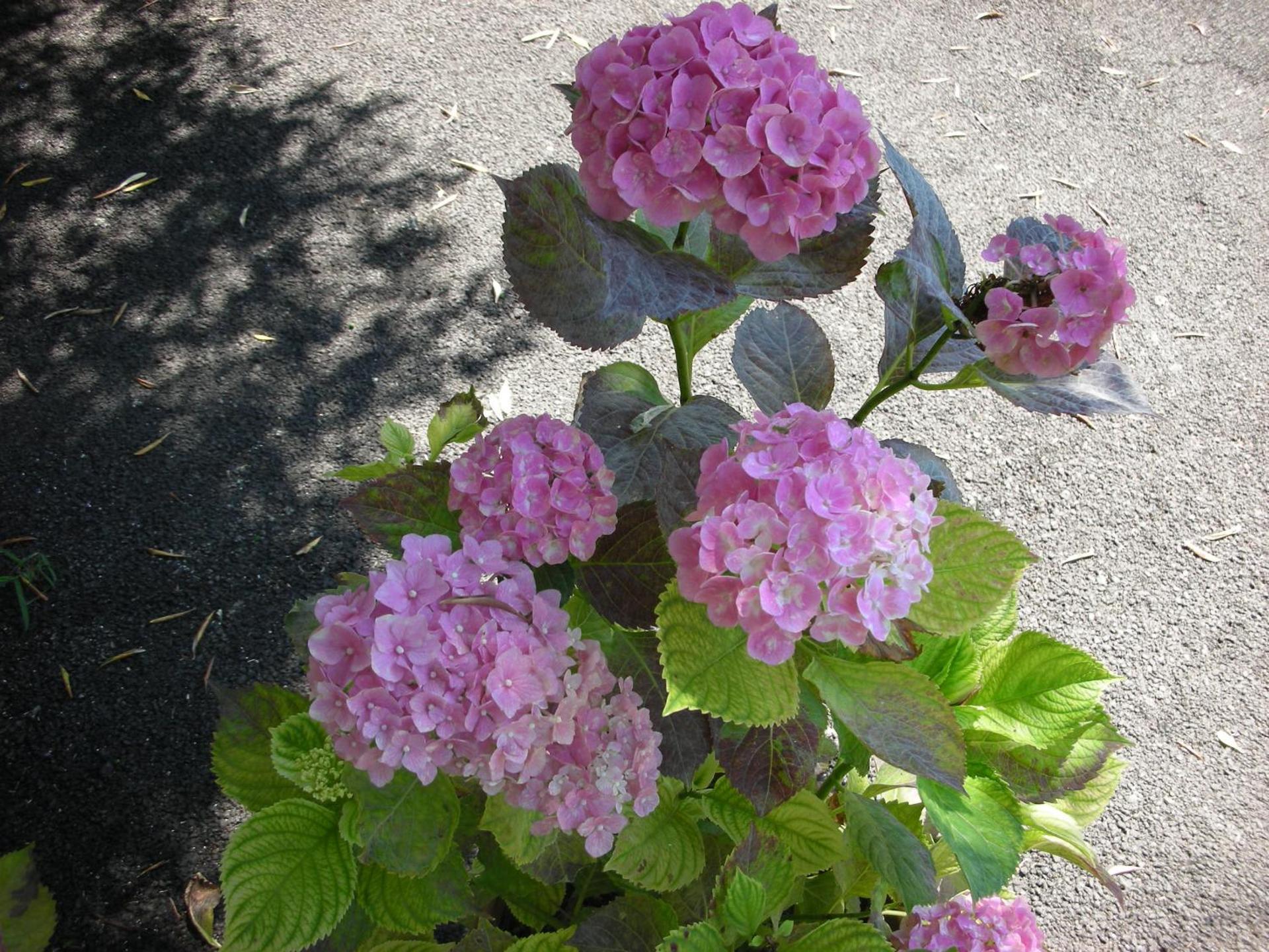 B&B Da Pio - Photo 95