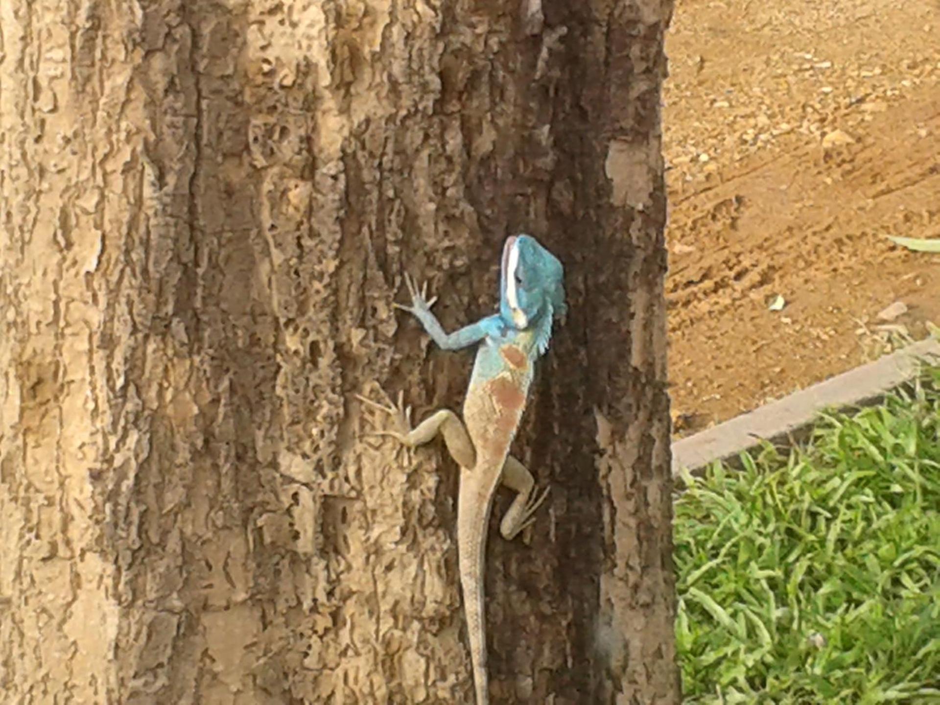 Huan Chiang Dao Resort - Photo 11