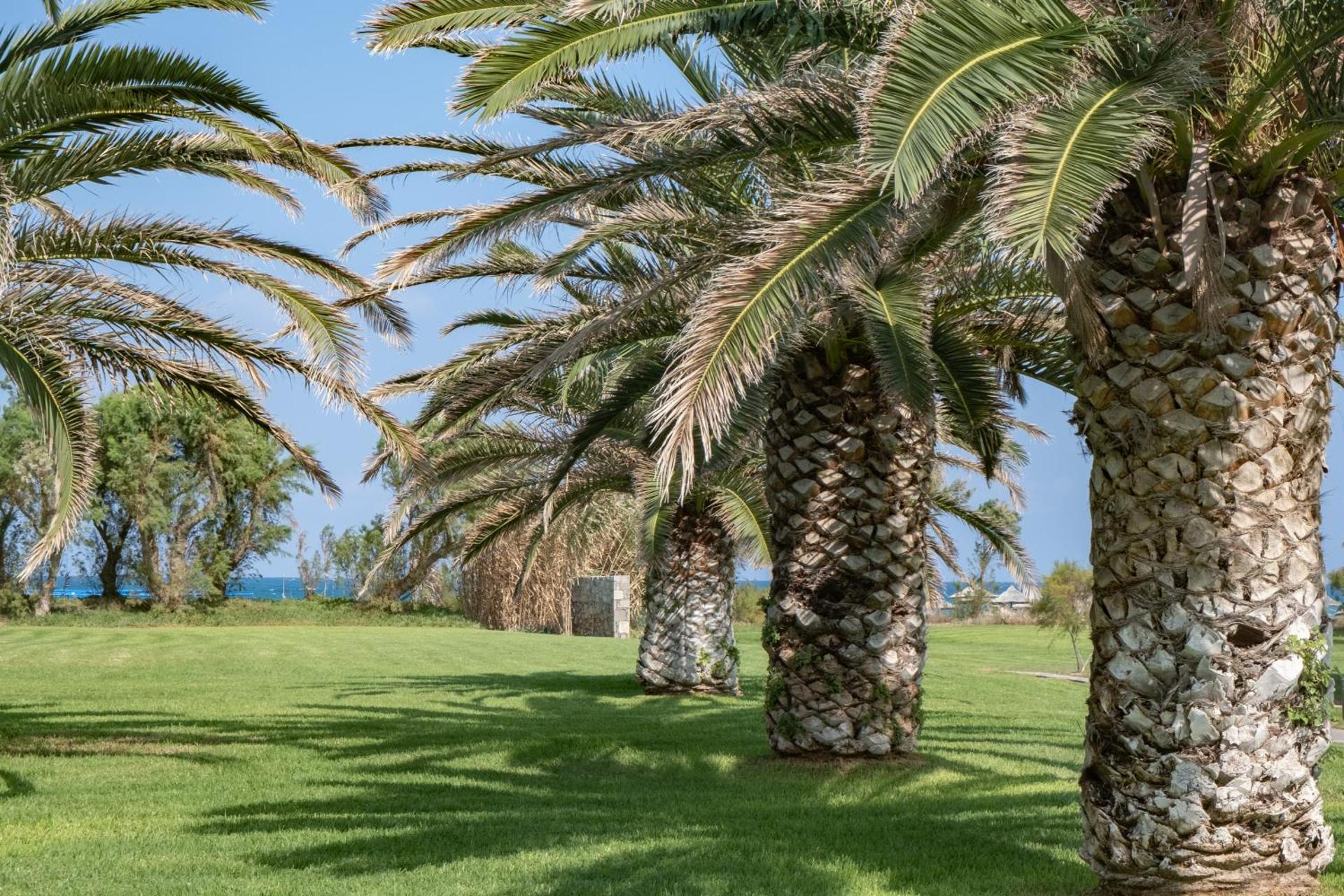 Agapi Beach Resort Premium All Inclusive - Photo 86