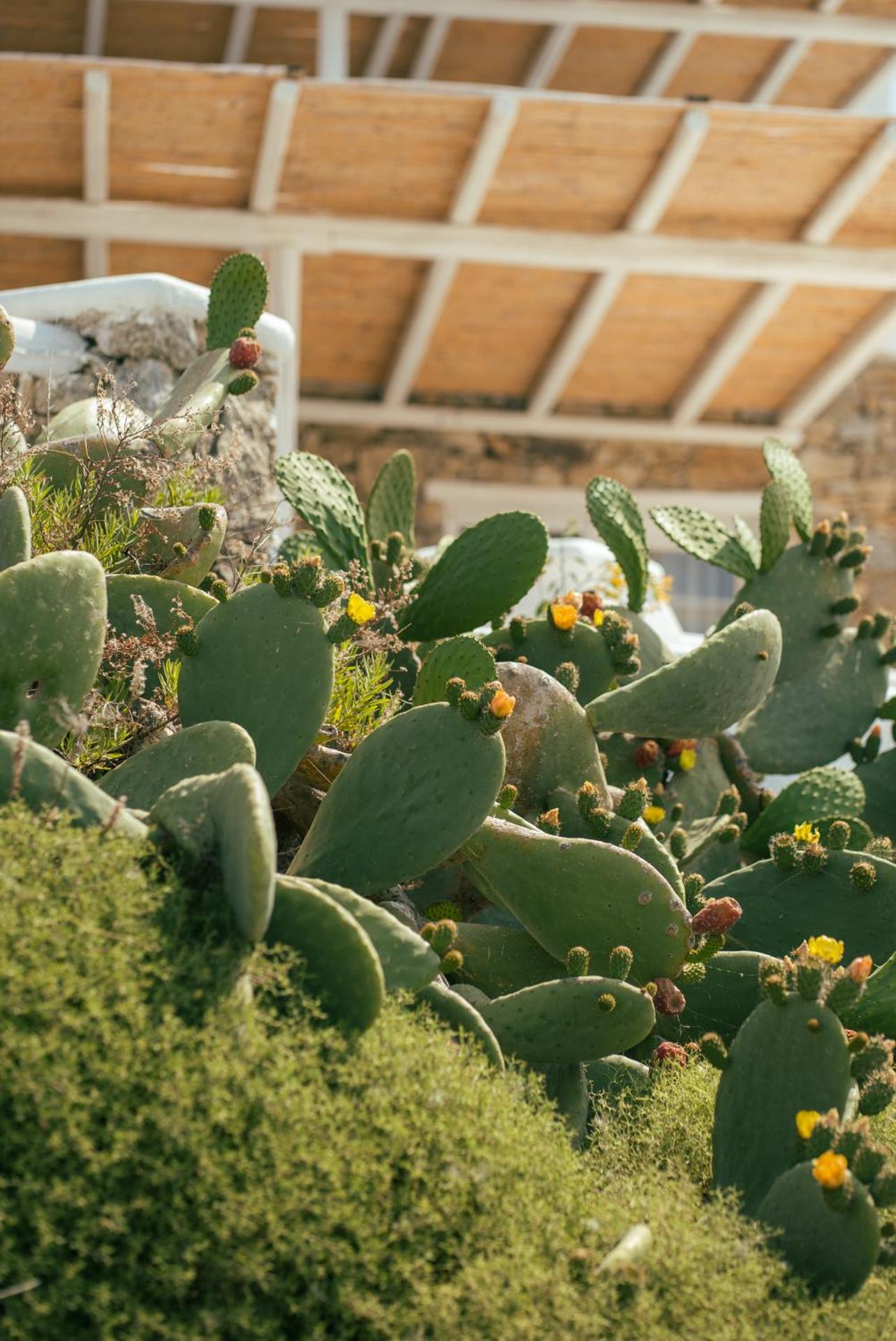 New Paradise Beach Resort - Adults only - Photo 108