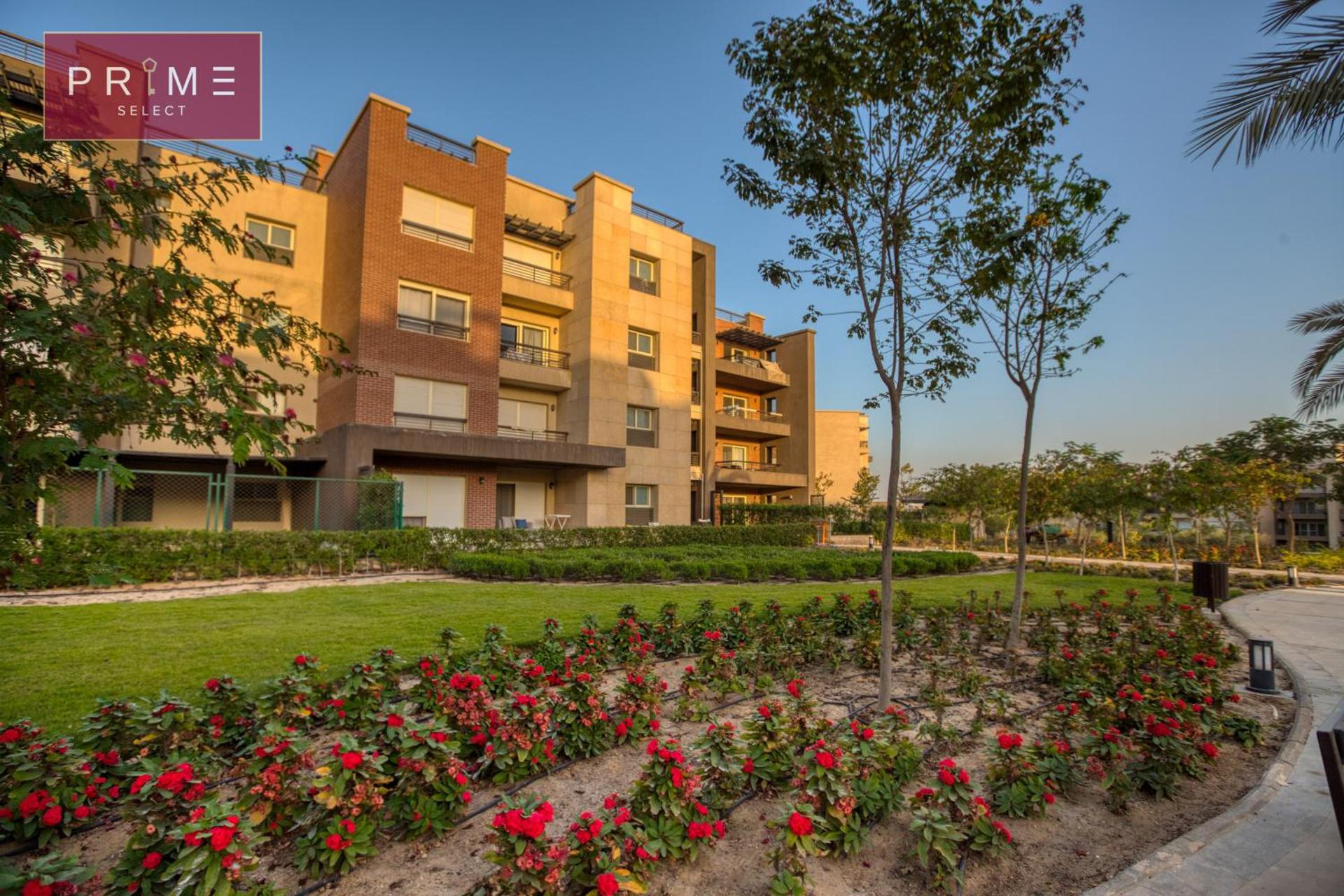 Prime Select New Giza - Photo 153