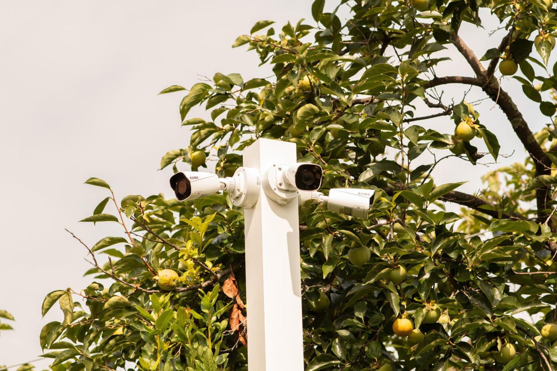 Villa Julia - Photo 27