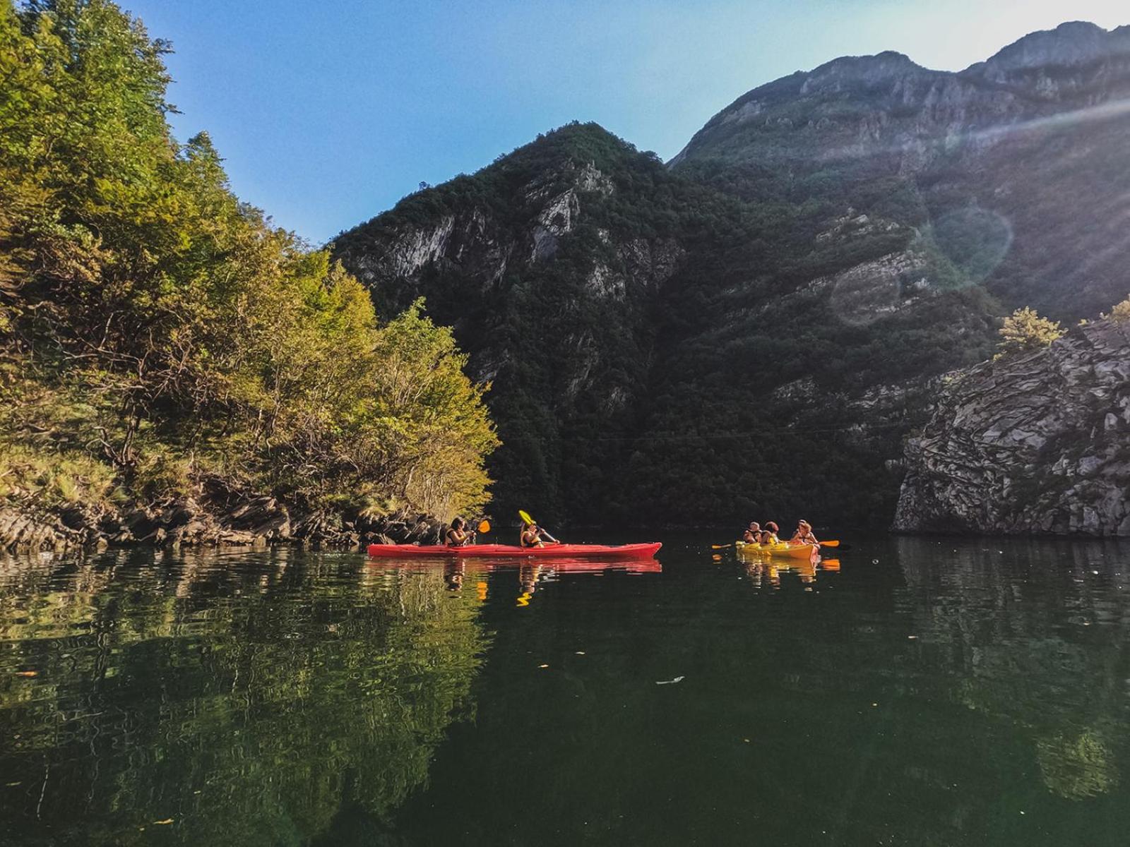 5 Stinet - Photo 154