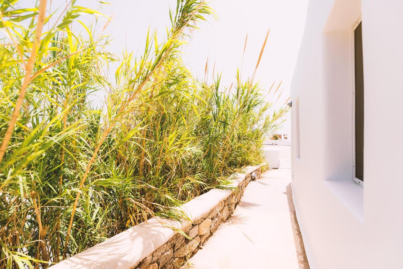 Paradise Beach Camping - Adults Only - Photo 32