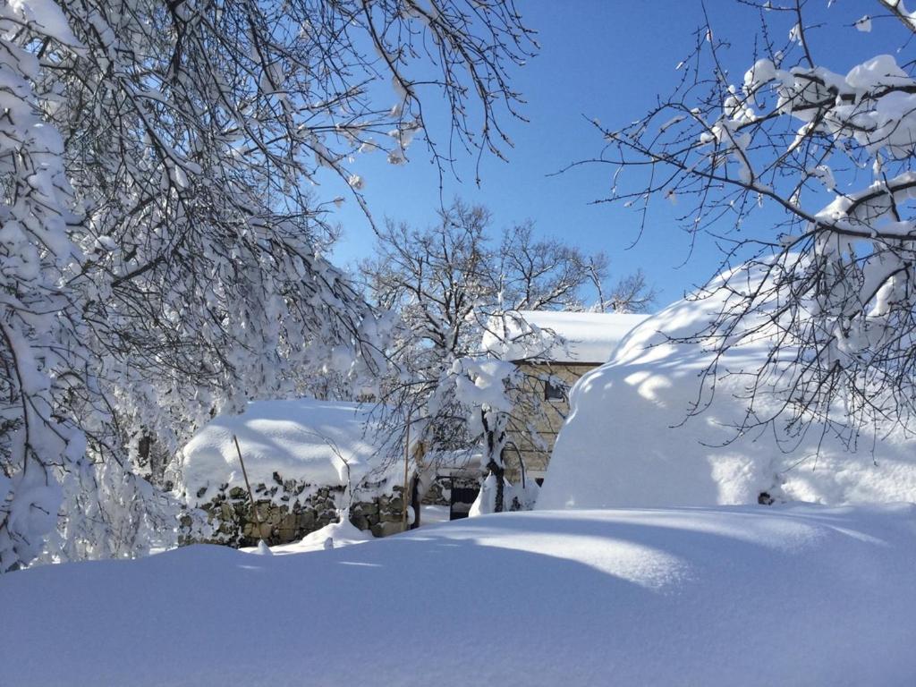 AGRITURISMO Case Catalano - Photo 247