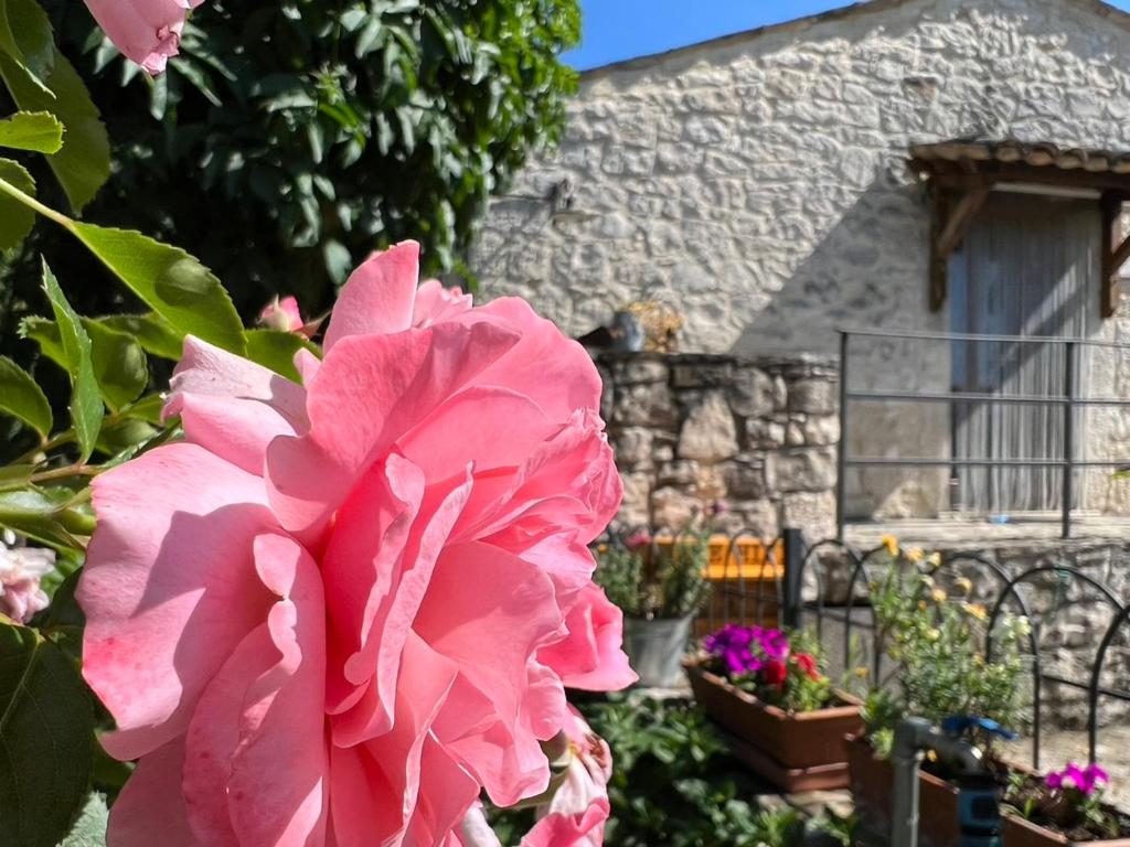 AGRITURISMO Case Catalano - Photo 249