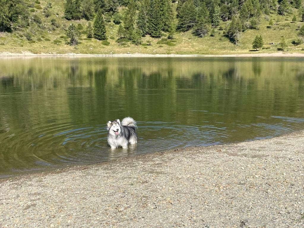 AGRITURISMO Case Catalano - Photo 258