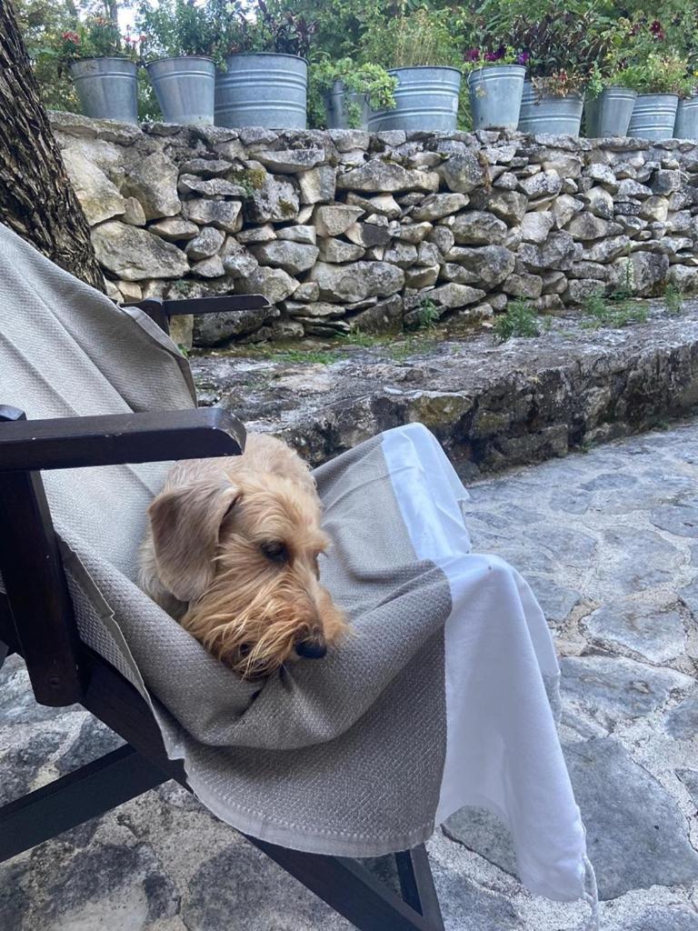 AGRITURISMO Case Catalano - Photo 259