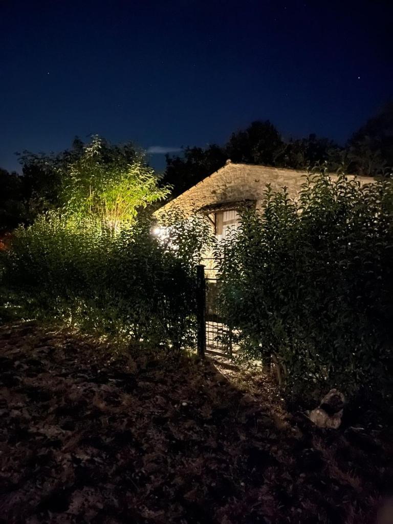 AGRITURISMO Case Catalano - Photo 260