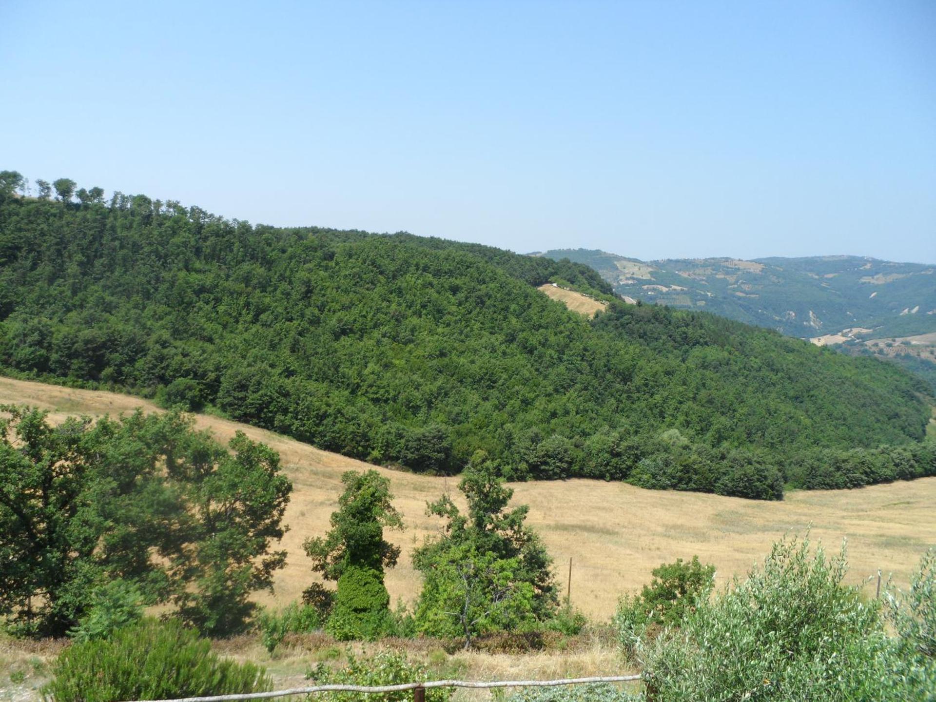 Agriturismo La Terrazza - Photo 6