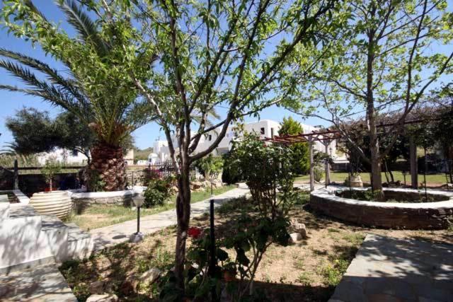 Deep Blue Studios - Photo 24