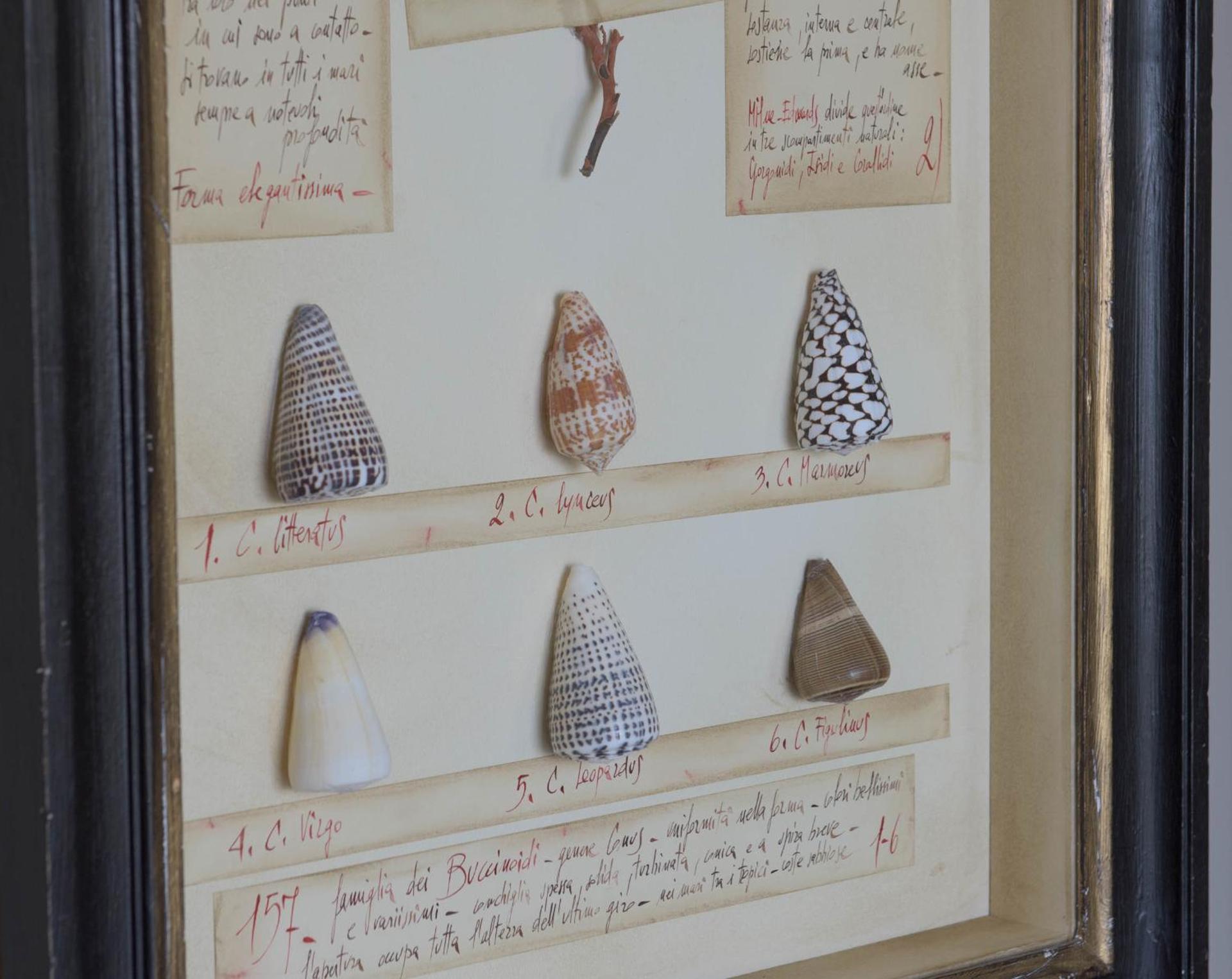 Hotel Villa Ducale - Photo 108