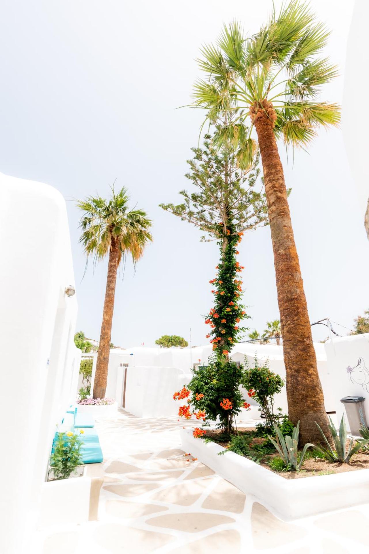 Paradise Beach Resort - Photo 22