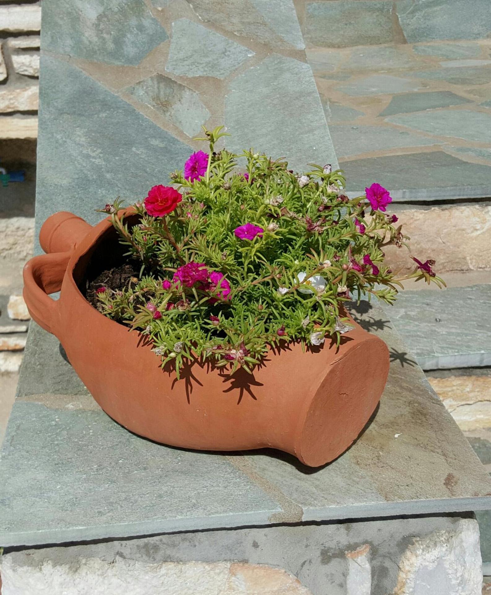 Panorama studios in PisoLivadi - Photo 58