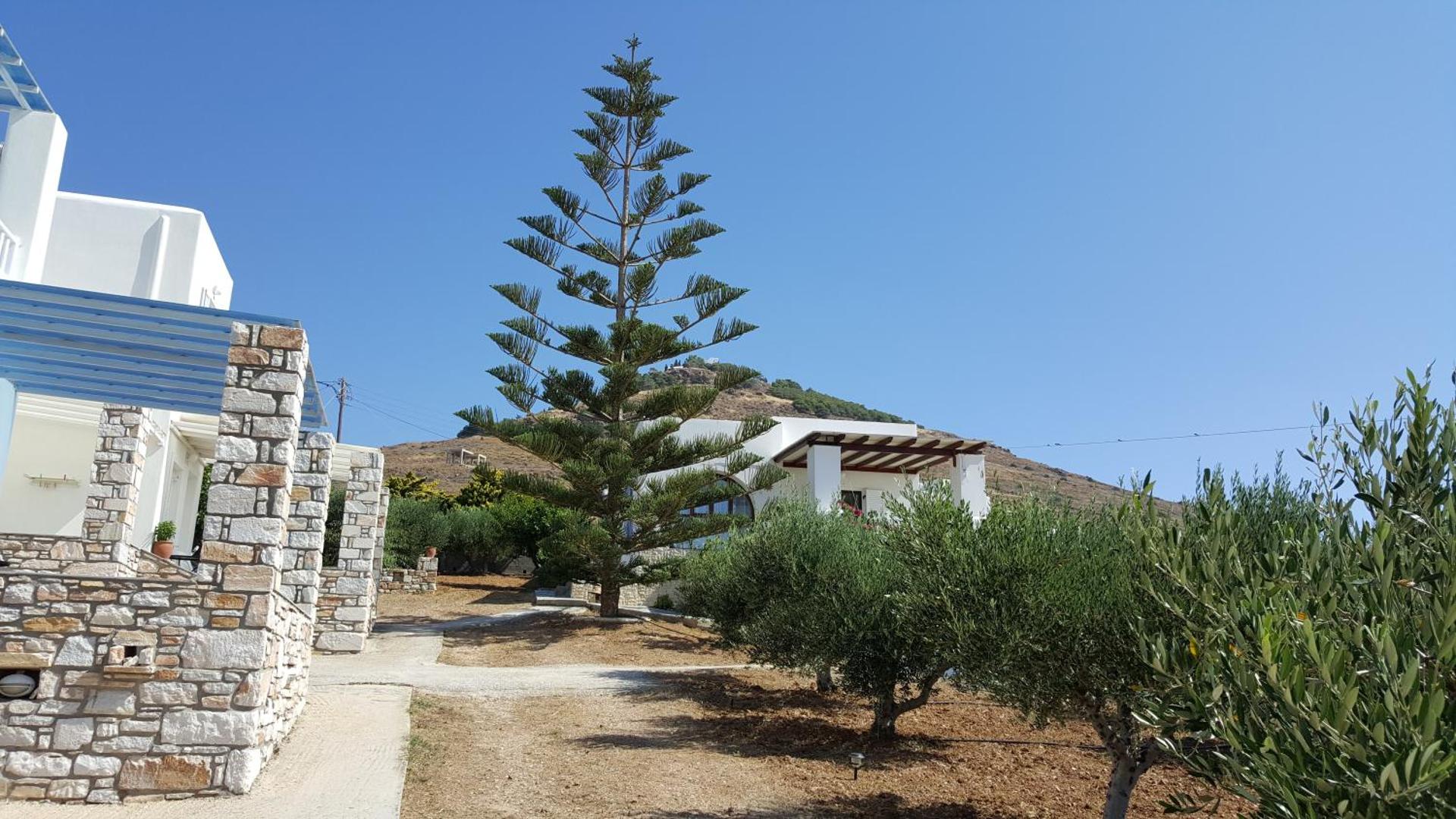 Panorama studios in PisoLivadi - Photo 59