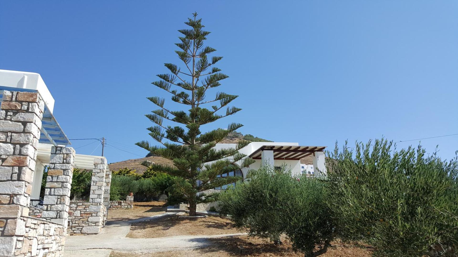 Panorama studios in PisoLivadi - Photo 60