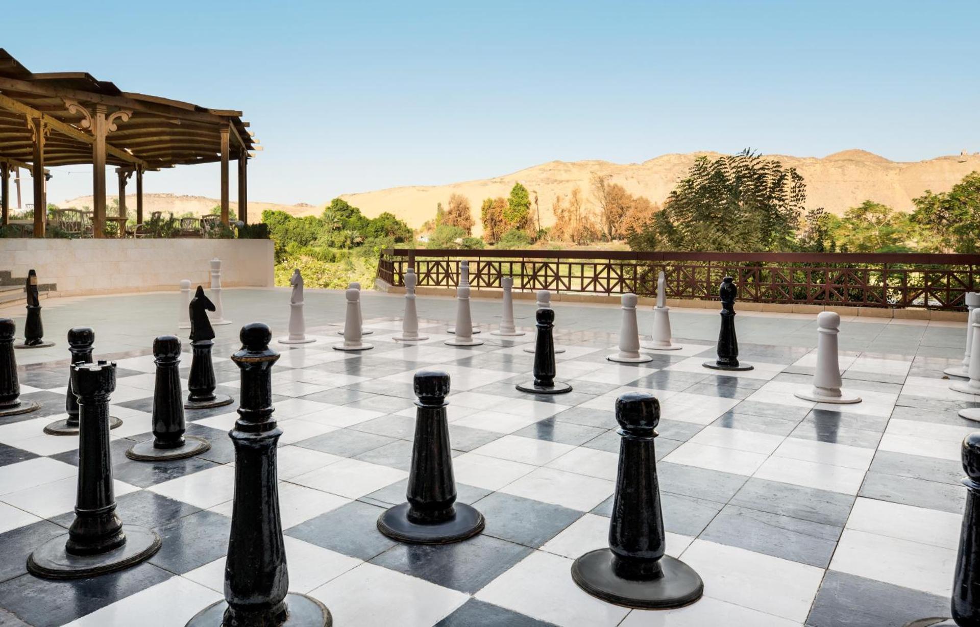 Pyramisa Island Hotel Aswan - Photo 35