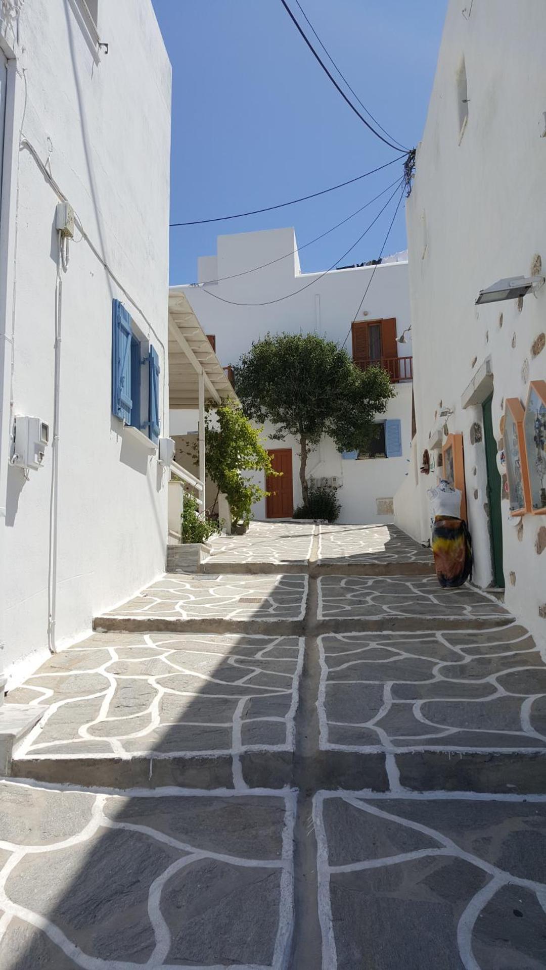 Panorama studios in PisoLivadi - Photo 66