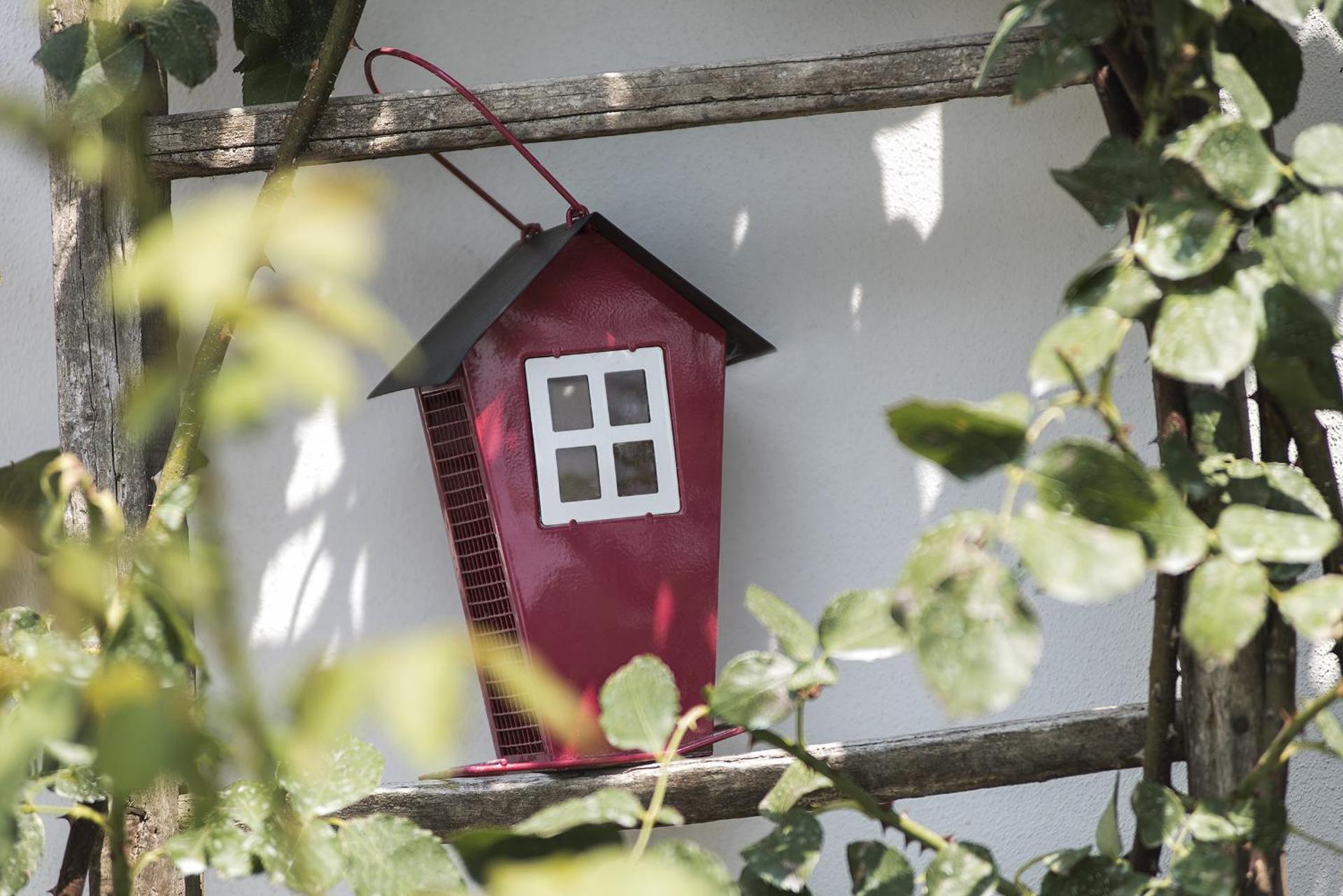 Agriturismo Albarossa - Photo 4