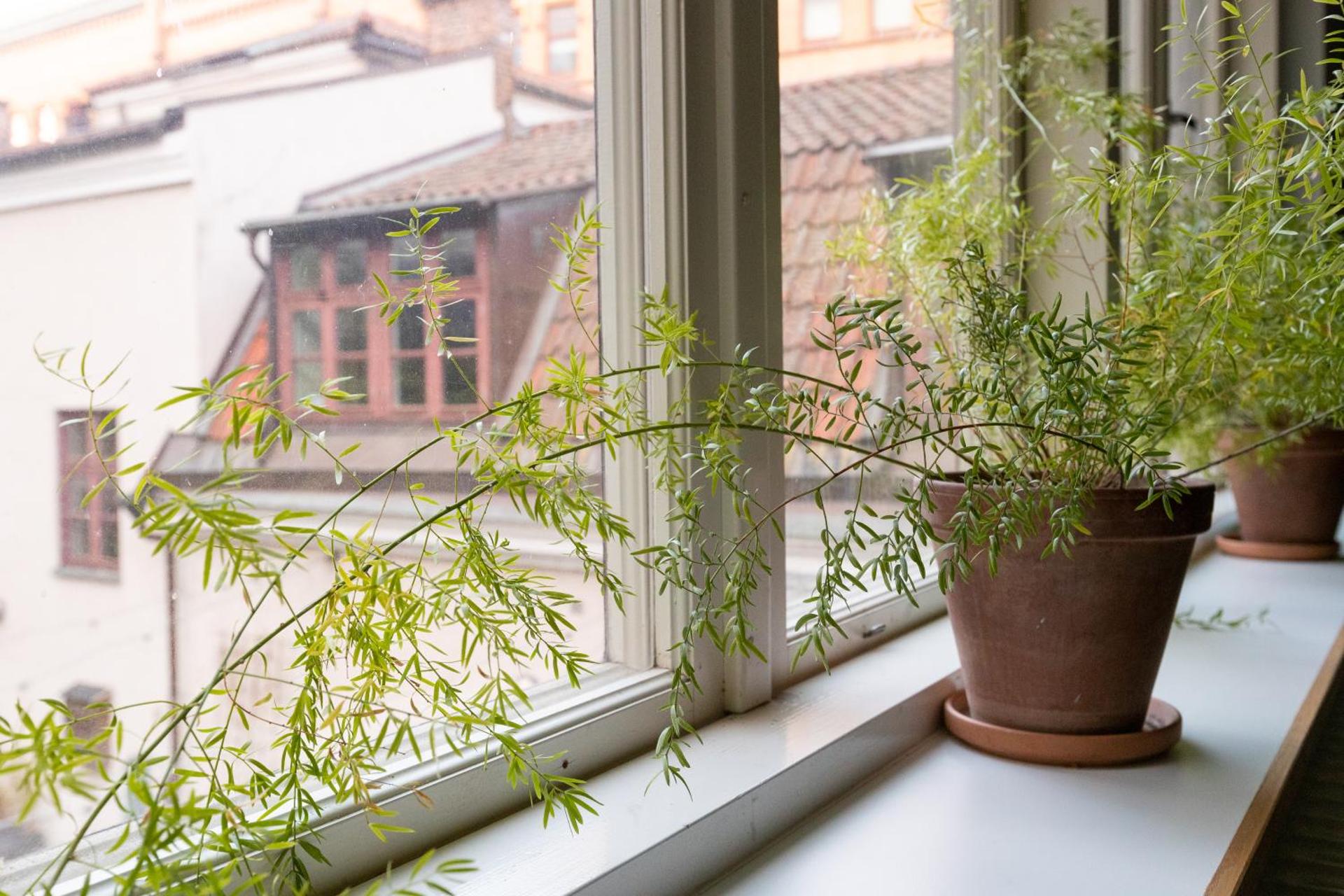 STF Hostel Stigbergsliden - Photo 17