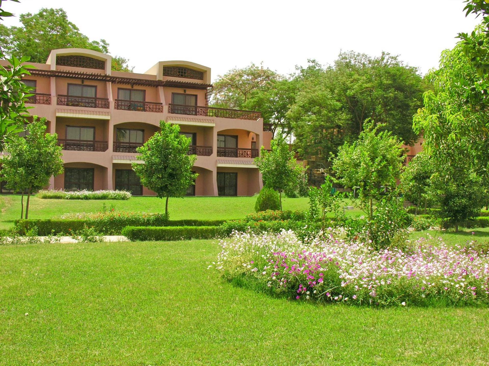 Pyramisa Island Hotel Aswan - Photo 43