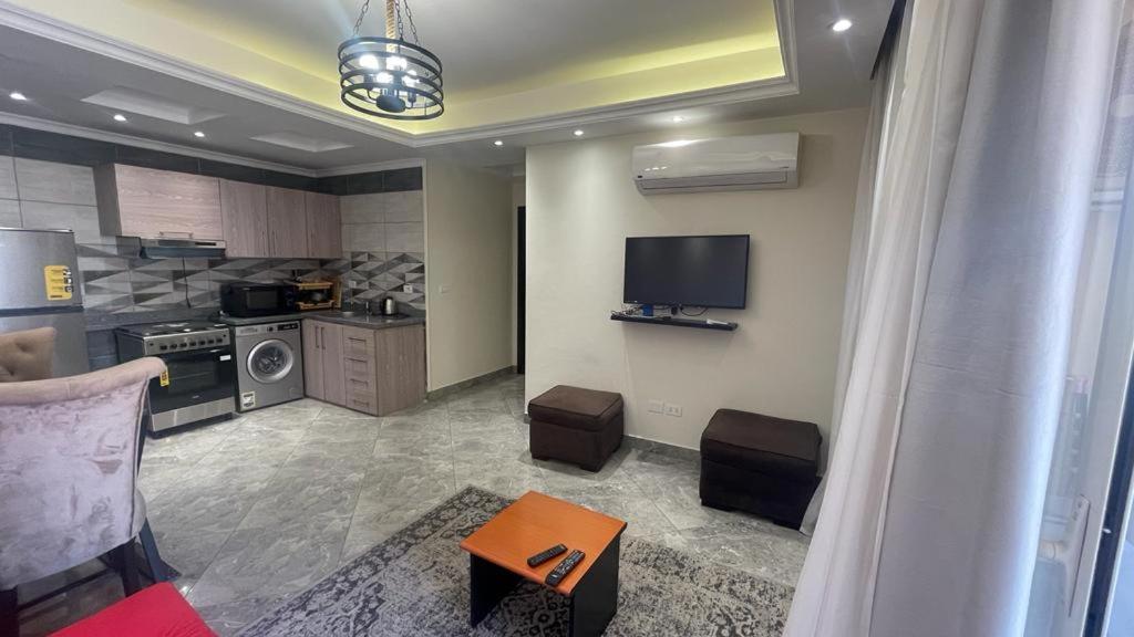 Luxury Host -211- Dream Land - Photo 4